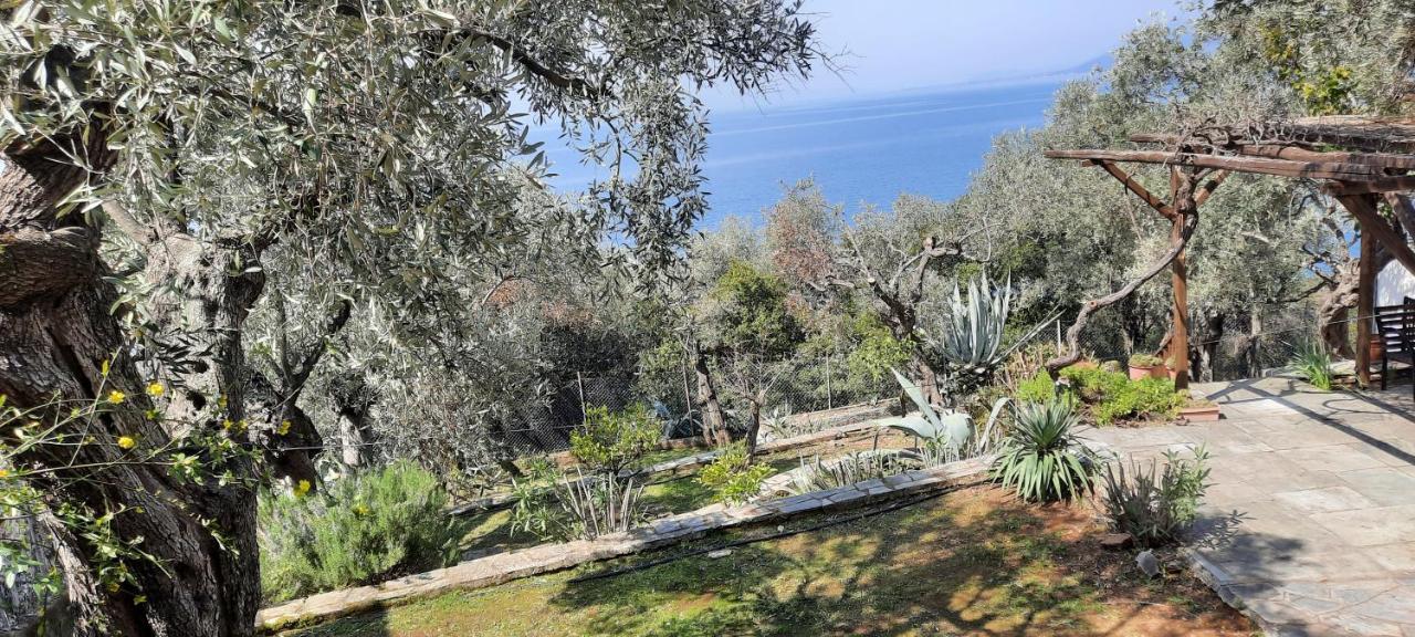 Villa Imelda Афисос Екстериор снимка
